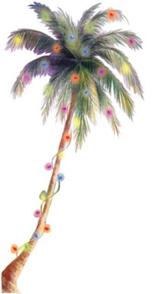 Palm Tree with Holiday lights - Masimo News and Media