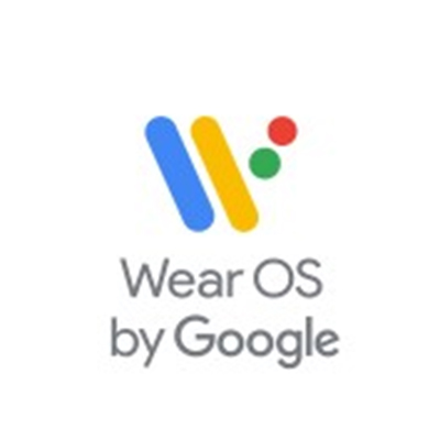 Wear OS by Google