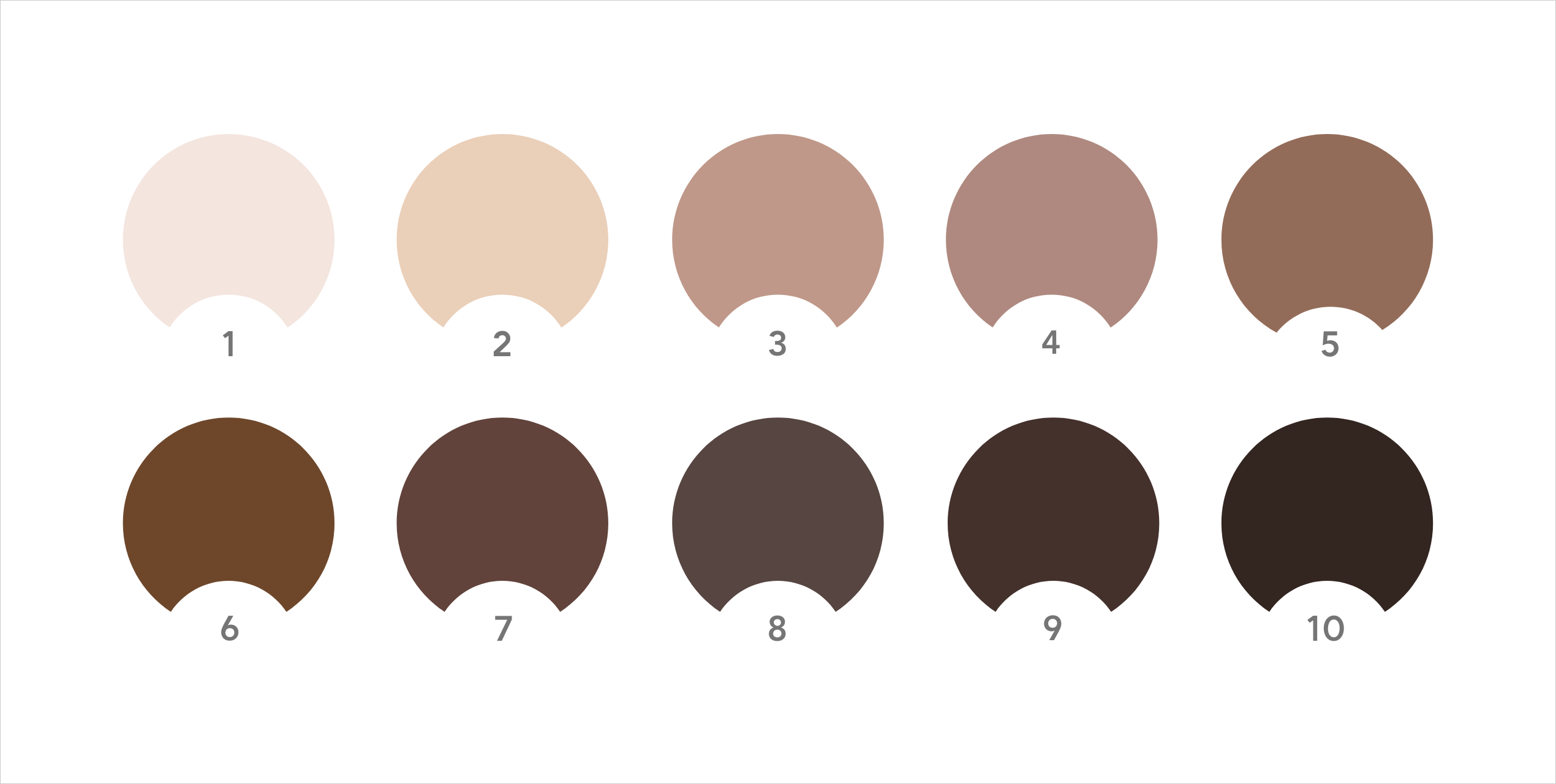 Massey-Martin Skin Color Scale, a series of shades from 1 to 10, 10 being darkest.